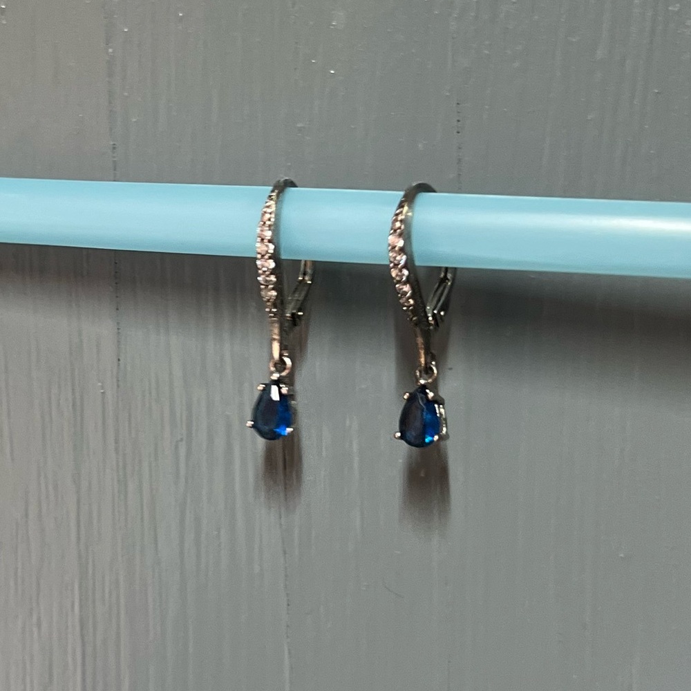 Elegant Silver and Blue Drop Earrings